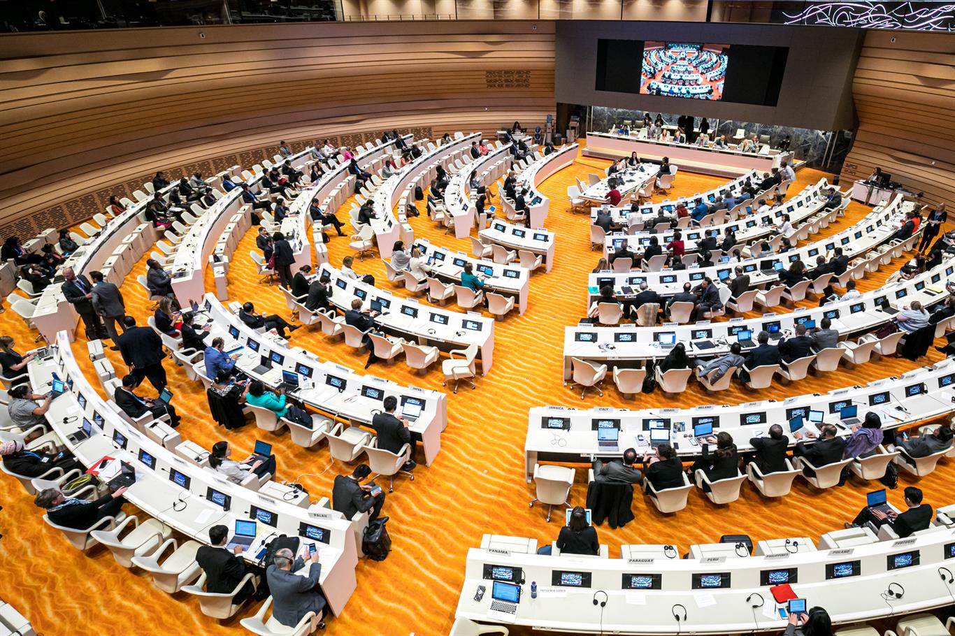 world health assembly